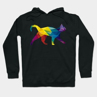 Rainbow abstract cat Hoodie